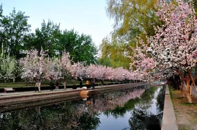 在元大都遺址公園中的