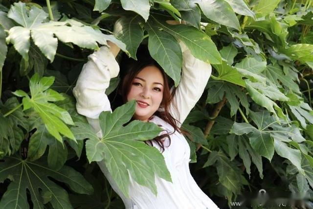 遇到你……一走进西乡锦湖集团楼顶花园,一股沁人心脾的芳香就扑面