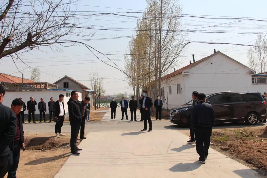 凌河镇组织召开"清理断壁残垣,助力乡村美颜"现场会