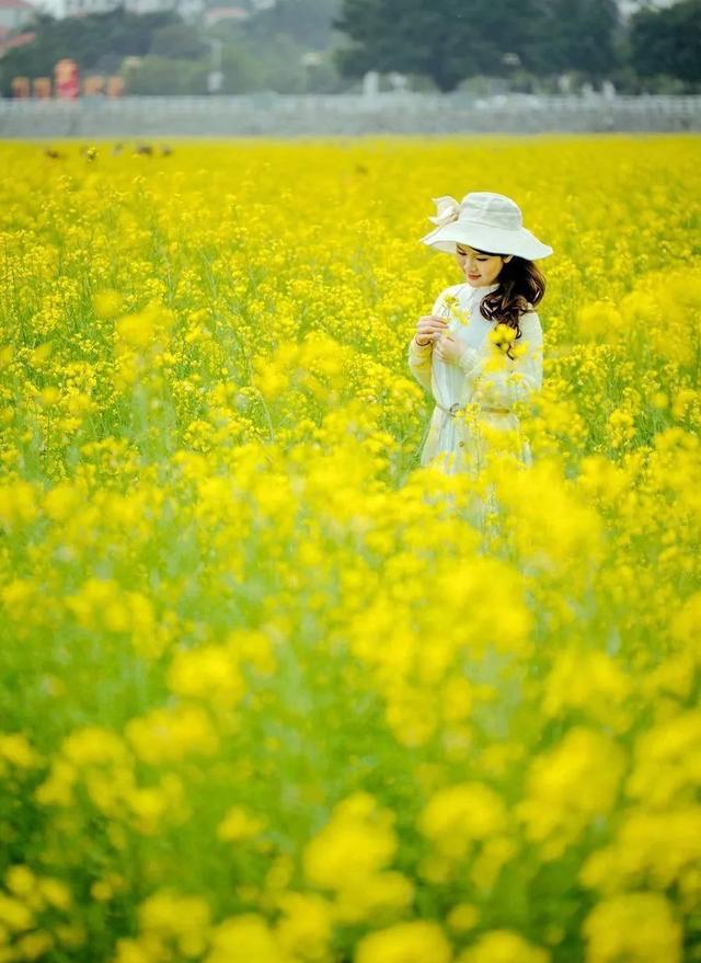 风景美女图片花草图片