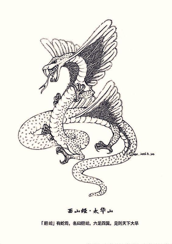 从鲁迅的彷徨之蛇到自然科学中的衔尾之蛇