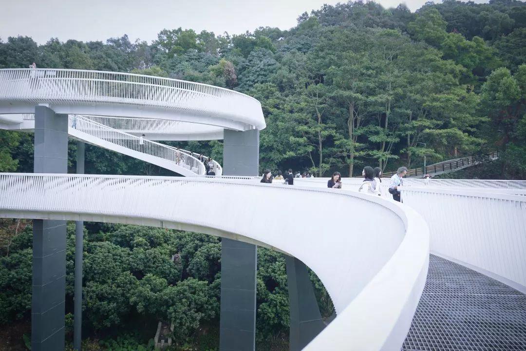 高颜值下的有趣灵魂网红悬空浮桥开放深圳最美山湖绿道霸屏