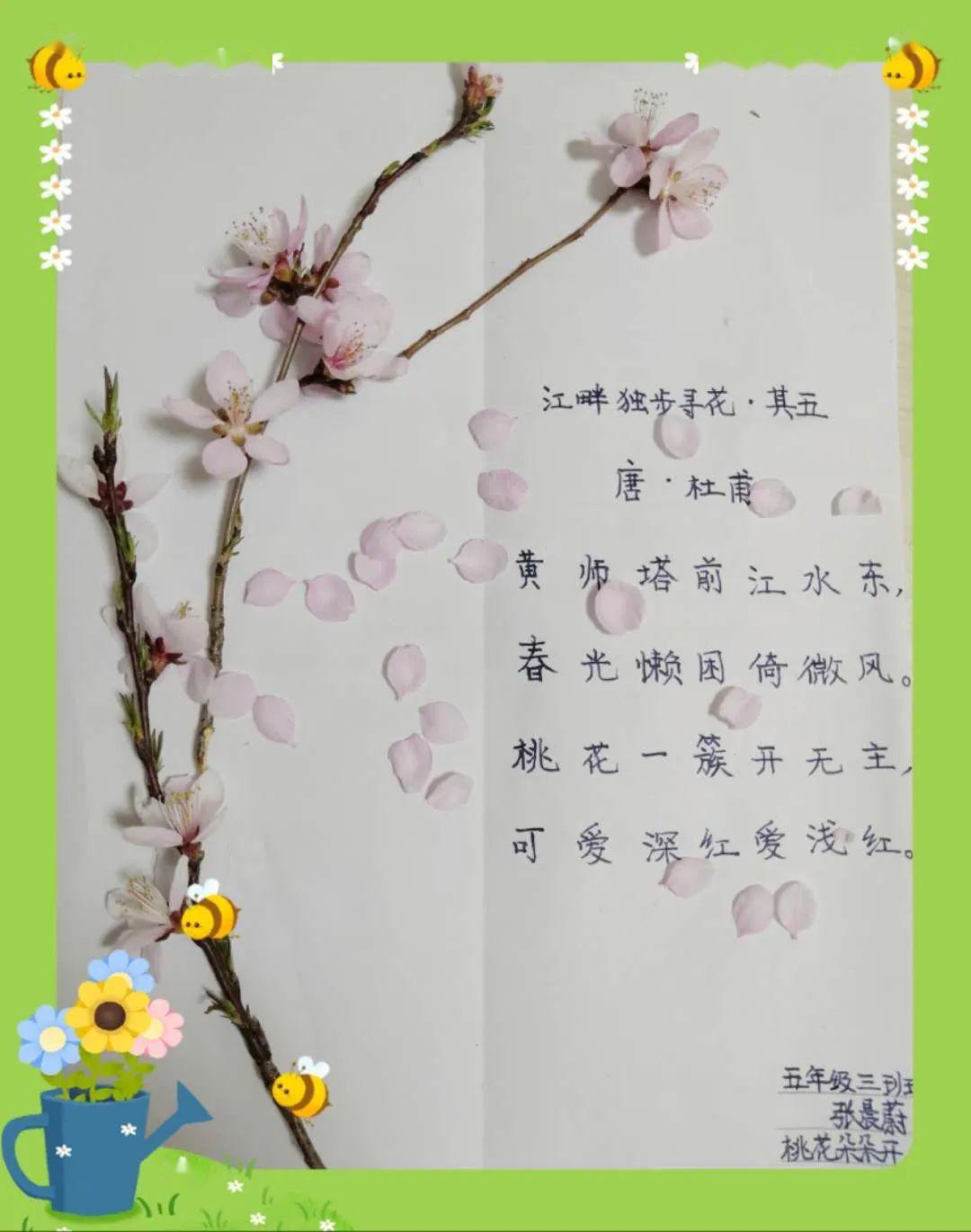 现代诗桃花插画图片