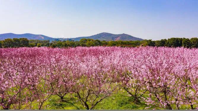 有奖征集武进太湖湾美丽乡村示范区宣传口号由你来定