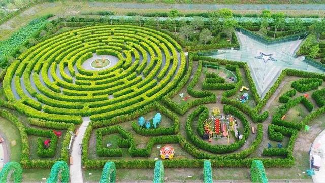 圖片源於網絡植物迷宮區,選用大豐特色資源—麋鹿作為迷宮主題,賦予