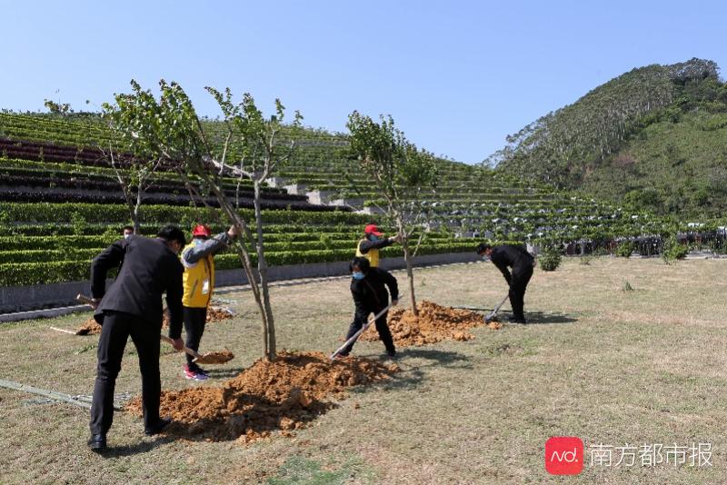 广州打造经营性墓园骨灰植树还林示范区