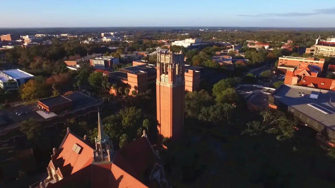 佛罗里达大学universityofflorida