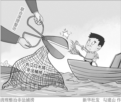 多部门联合清理整治 长江口水域非法捕捞