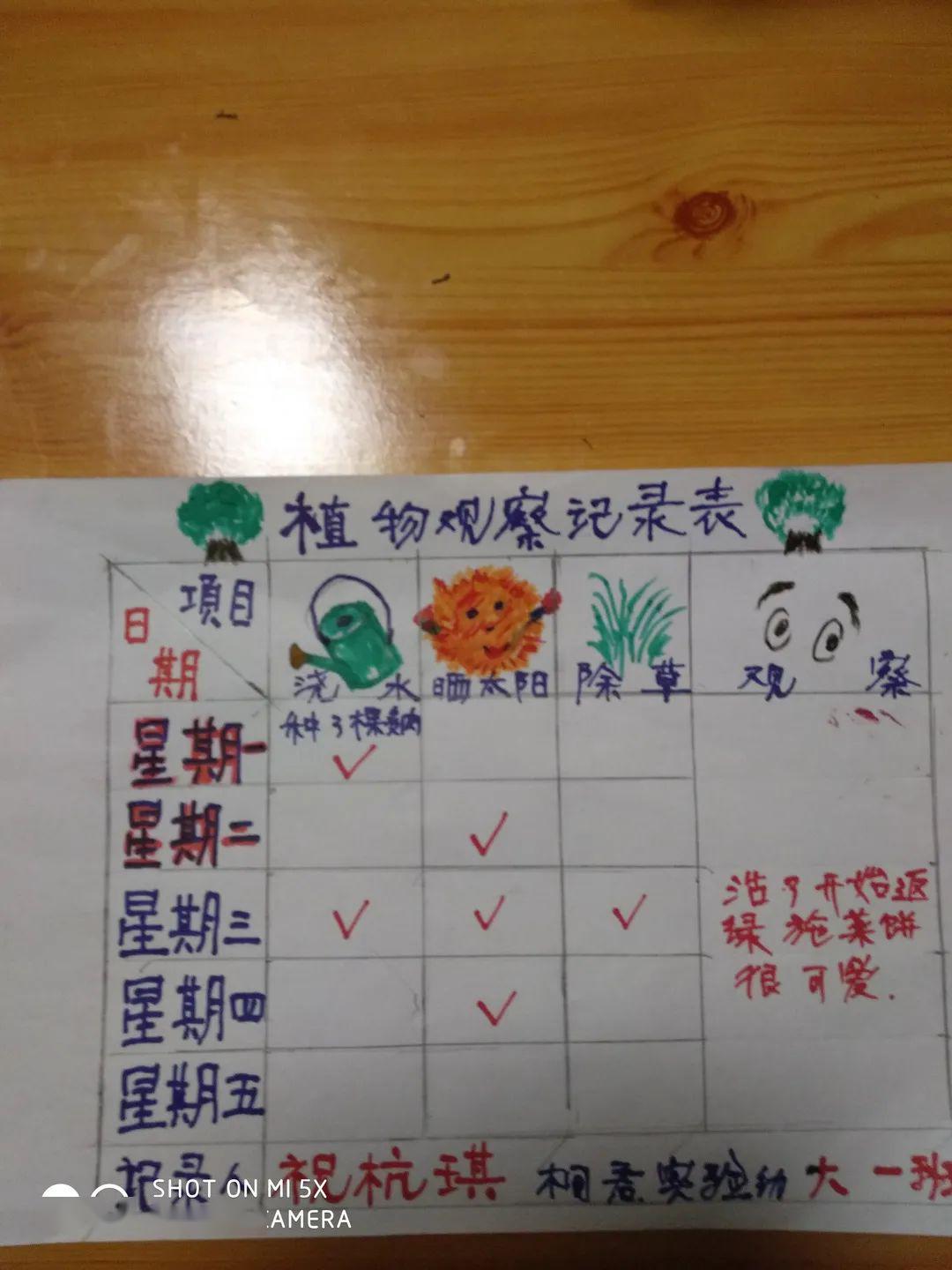 记录表springcomes记录表springcomes在种植过程中,孩子们知道了种子