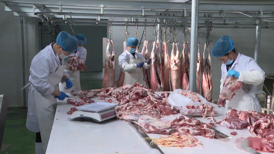 电商让永昌羊肉火起来