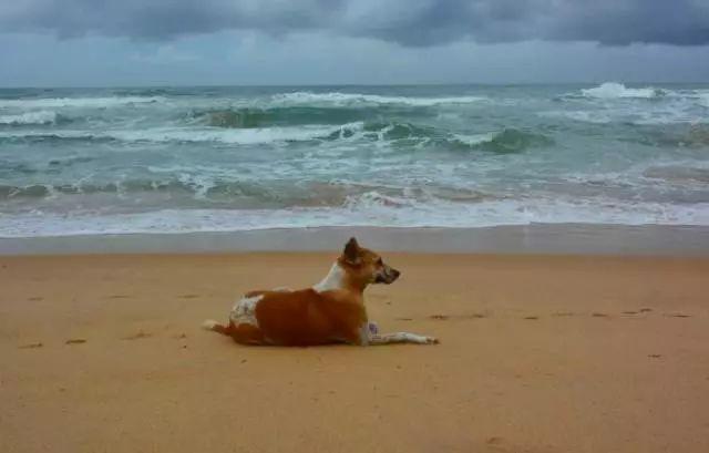 单身狗孤独的十个等级你在哪一级