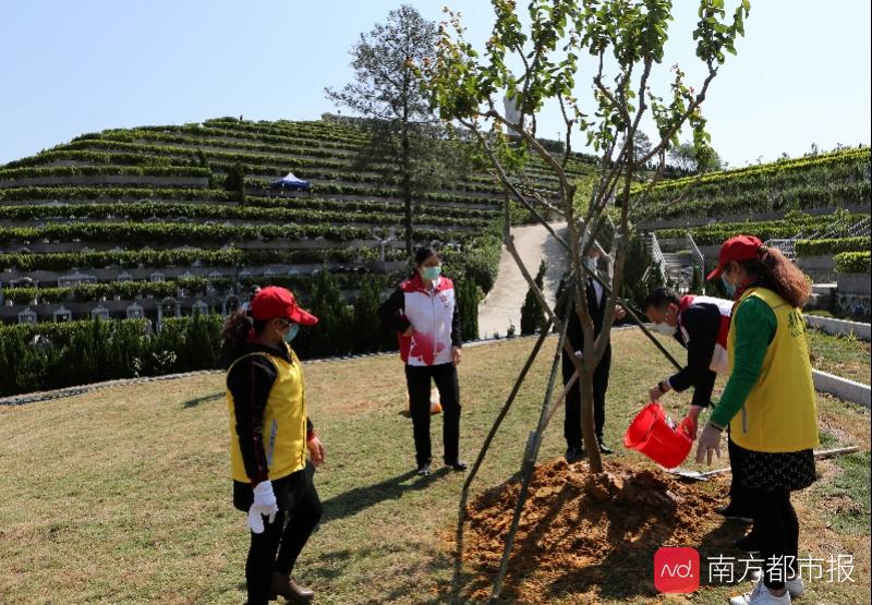 广州打造经营性墓园骨灰植树还林示范区