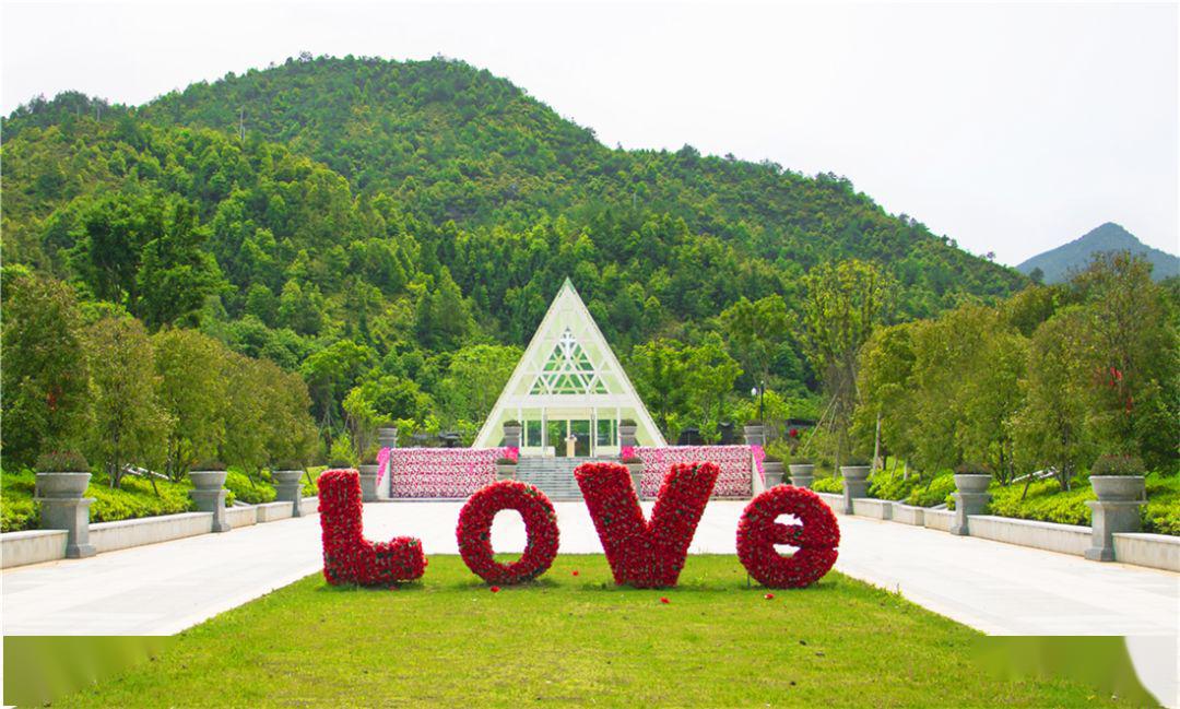 石城县委书记鲍峰庭会见美晨生态兼杭州赛石董事长窦茂功一行