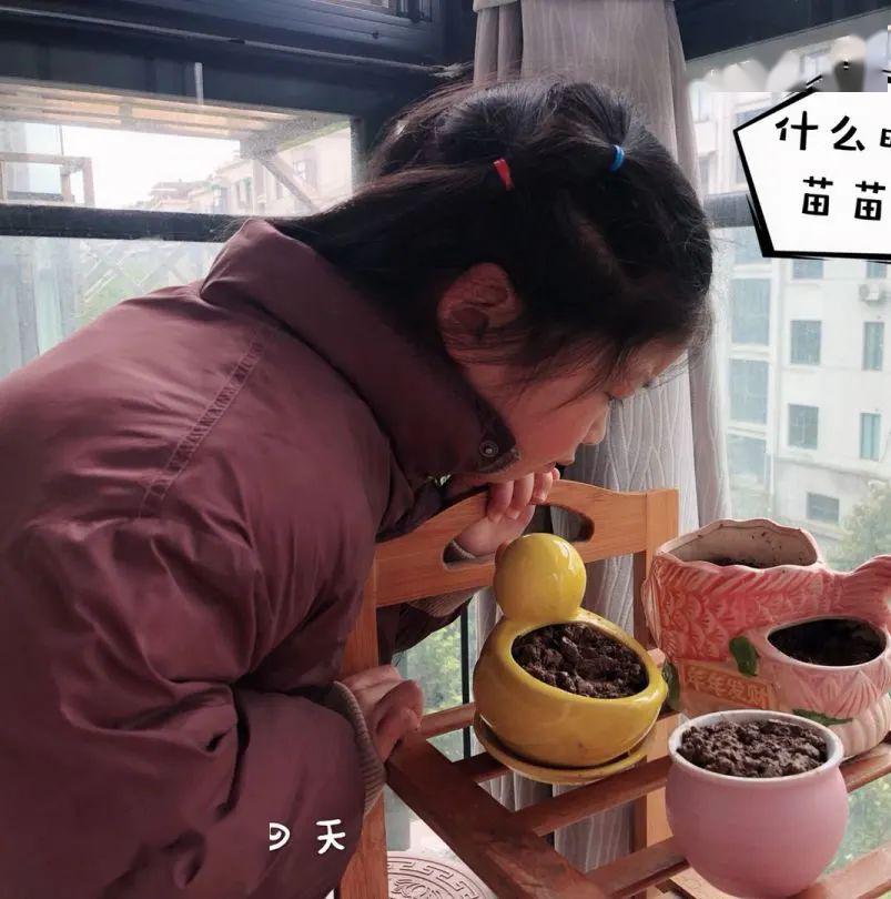 【停课不停学】拥抱春天——"大自然探访节"居家指导系列活动