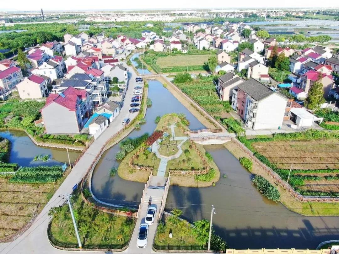 祝桥镇高行镇唐镇川沙新镇张江镇合庆镇北蔡镇南汇新城镇高东镇金桥镇