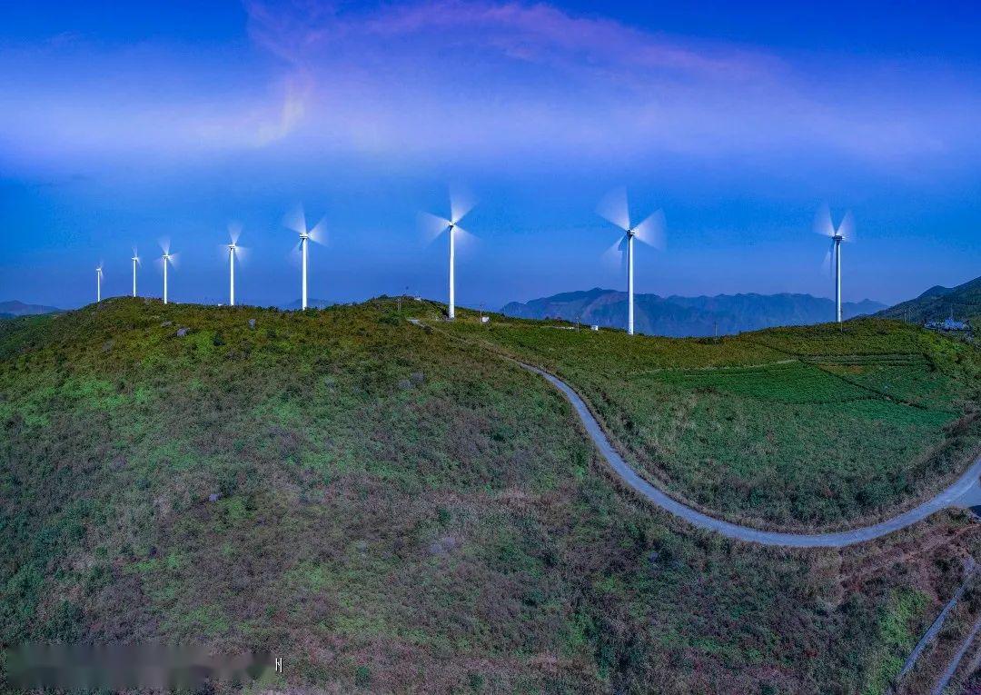 赏花登山住民宿吃美食现在来苍南正好