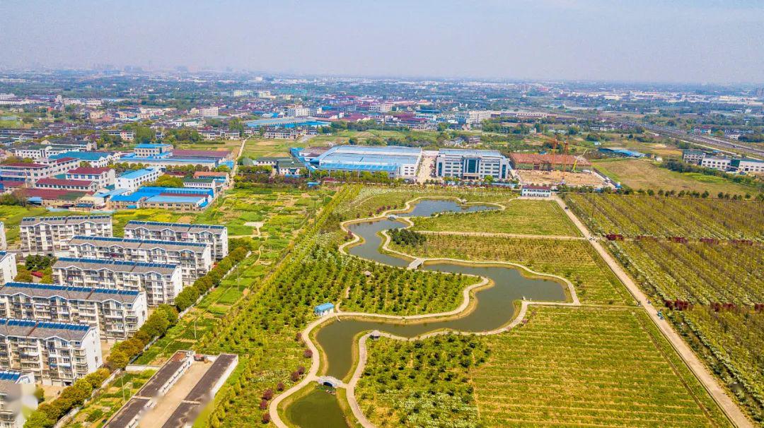 用牡丹培育,种植及深加工基地礼嘉的这片花海万余游客从全国各地而来