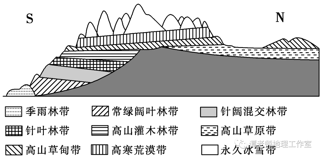 【新微专题】高考微专题:山地垂直带谱图的判读_植被