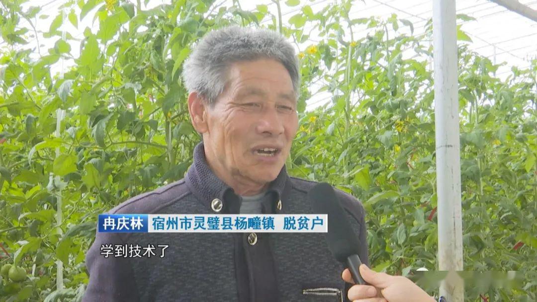 视频安徽新闻联播报道我县80后小伙带领贫困群众脱贫致富