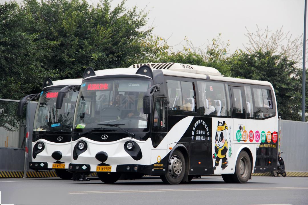 這些巴士實際是直達成都各大景點的景區直通車車身是熊貓造型,設計的