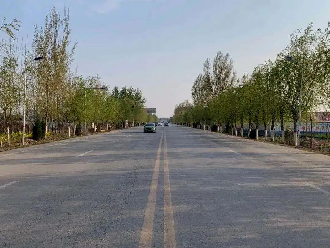 魏县交通运输局详细制定《2020年农村公路春季绿化工作实施方案》