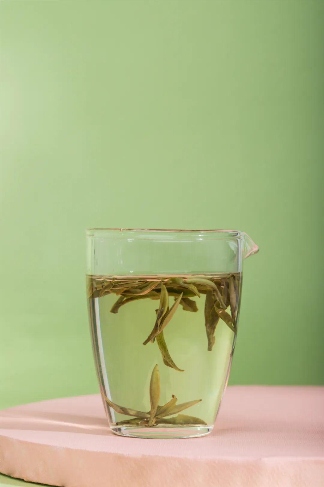 白茶,陪你度过漫长岁月_白牡丹