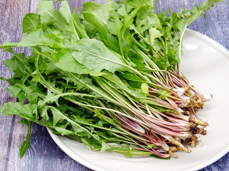 三,婆婆丁婆婆丁,学名蒲公英.