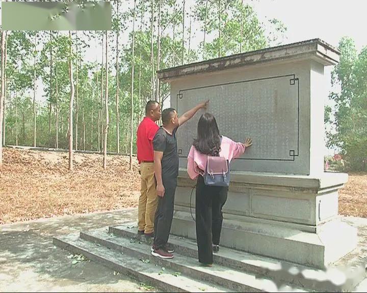 悠游湛江今启程民生记者带您了解粤桂边纵队革命事迹