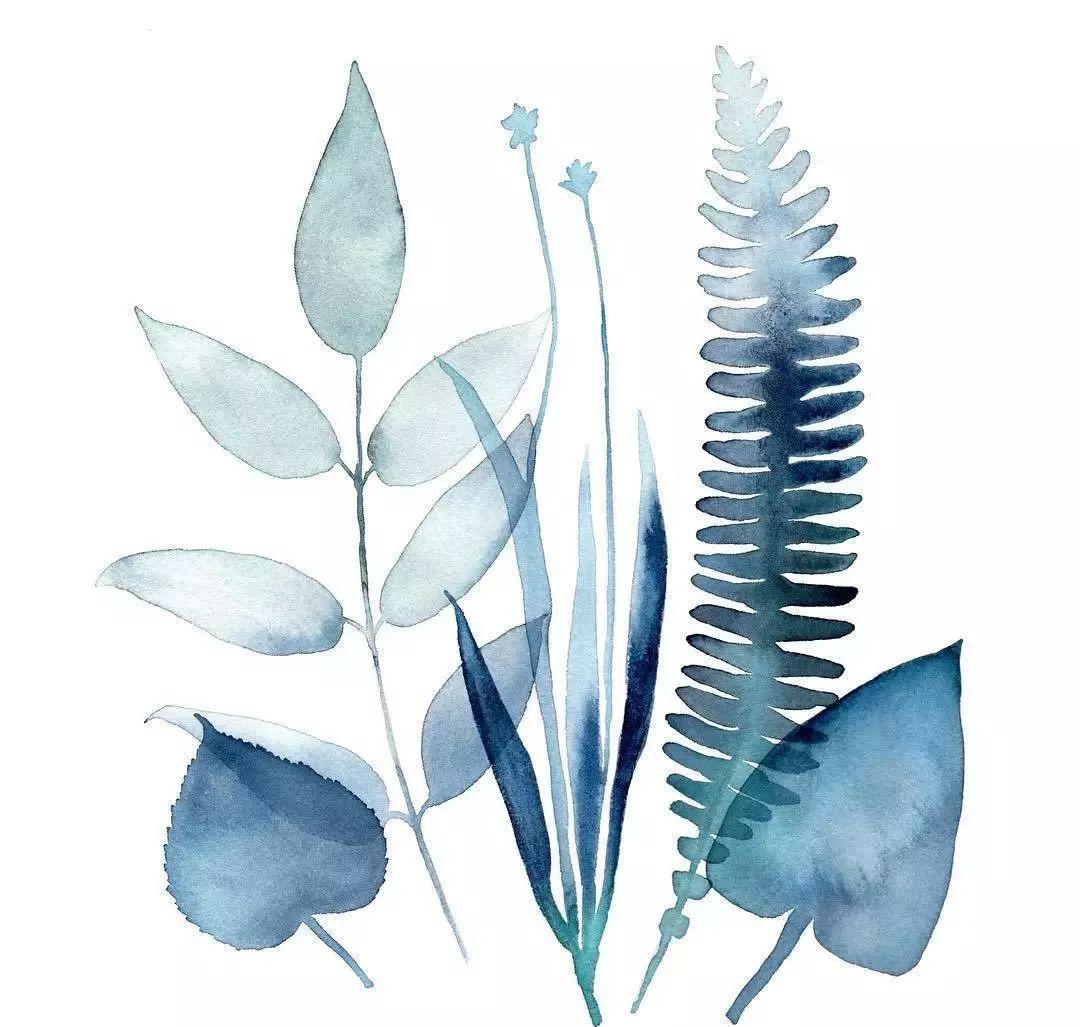 小清新水彩叶子素材