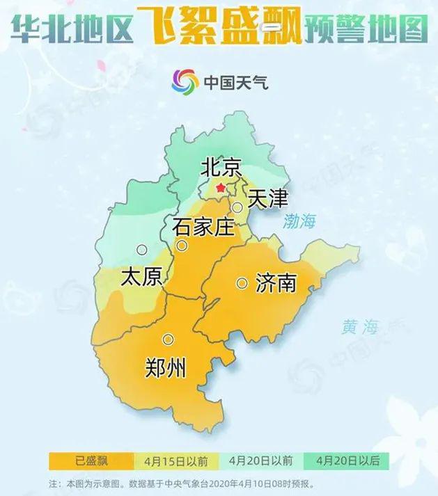 提醒香河树毛子已上线注意防范