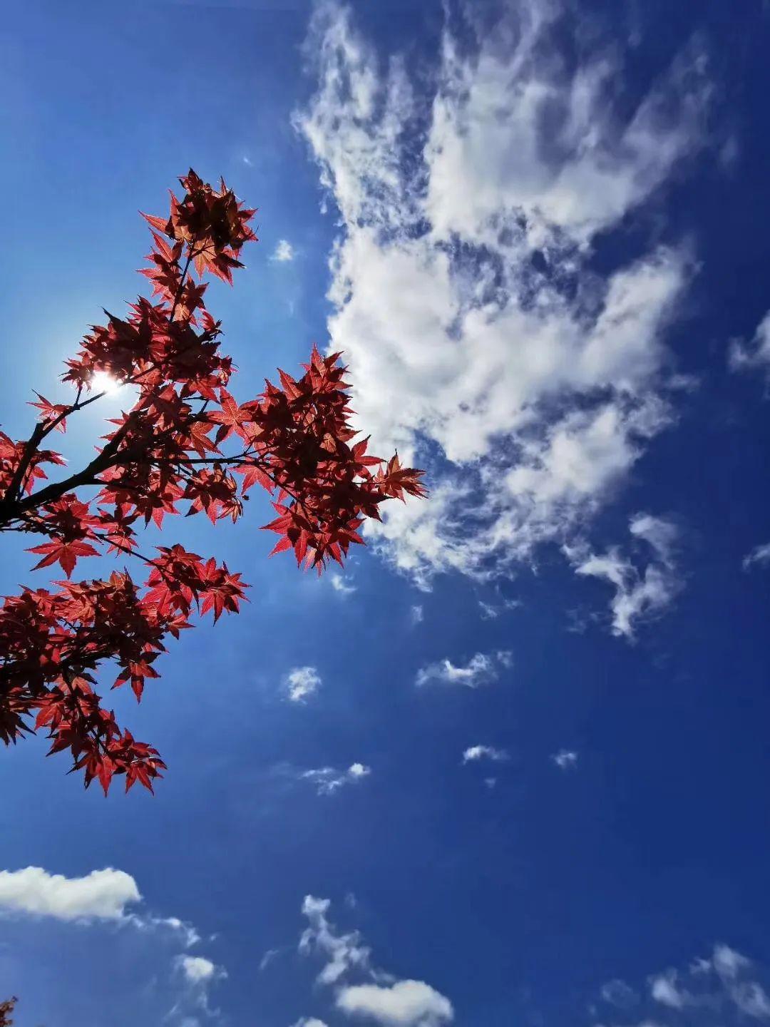 又被藍天刷屏!一大波美圖來襲,將韶關