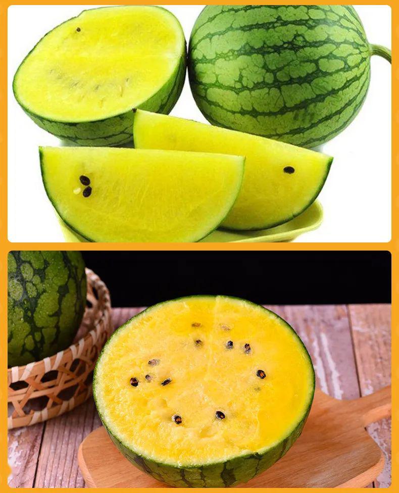 关注火了济阳副区长白宝强为仁风富硒西瓜代言