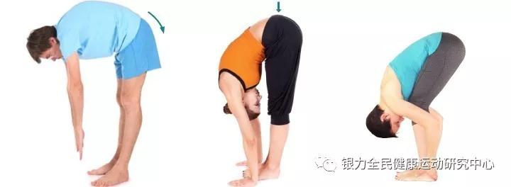 必会评估及功能促进站姿体前屈②