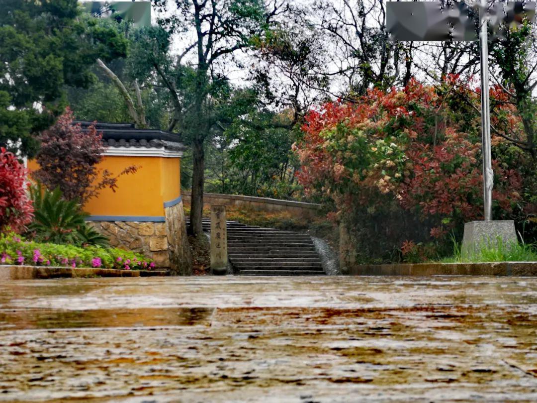 普陀山雨天图片图片