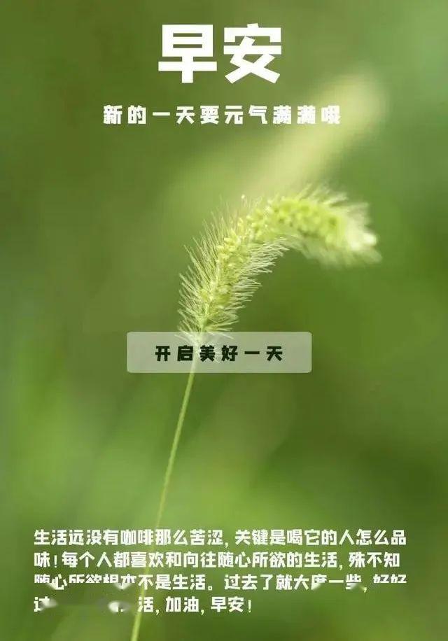 新的一天新的开始图片