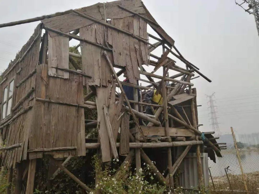 三角这项工作持续进行中._窝棚