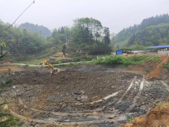 盐津中和艾田:大力发展养殖业,激活发展不竭动力