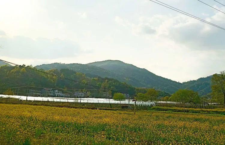 从关庙乡银山村骑行到斑竹园镇金山村这不是字面上的巧合我一路骑行亲