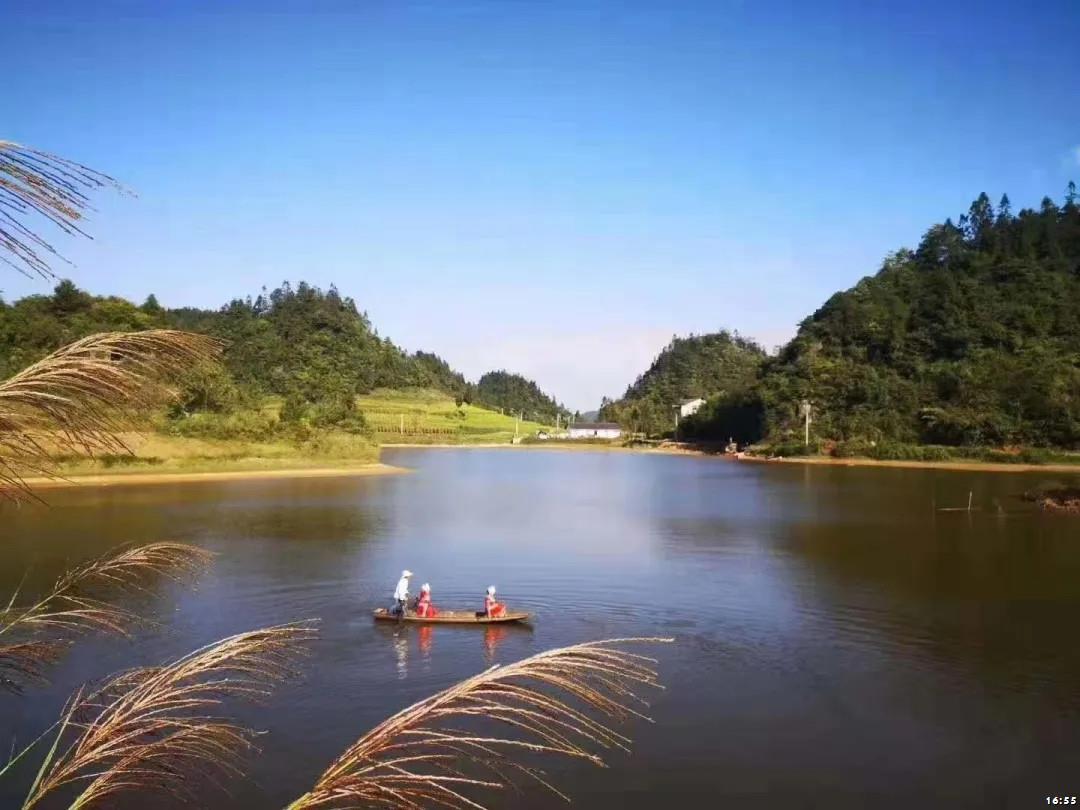 武隆黄莺乡复兴村春暖花开乡村游恢复元气