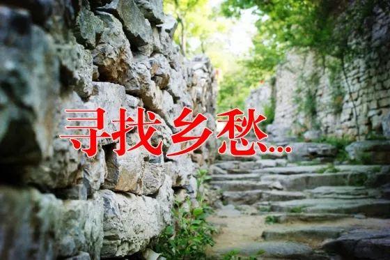 这里已经收集永春204个古寨名单!寻找永春古代山寨,你身边还有吗?