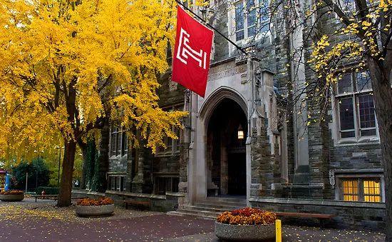 天普大学录取展示templeuniversity offer_美国