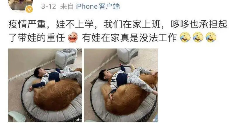 宅家带娃的1536个小时你被神兽逼疯了吗