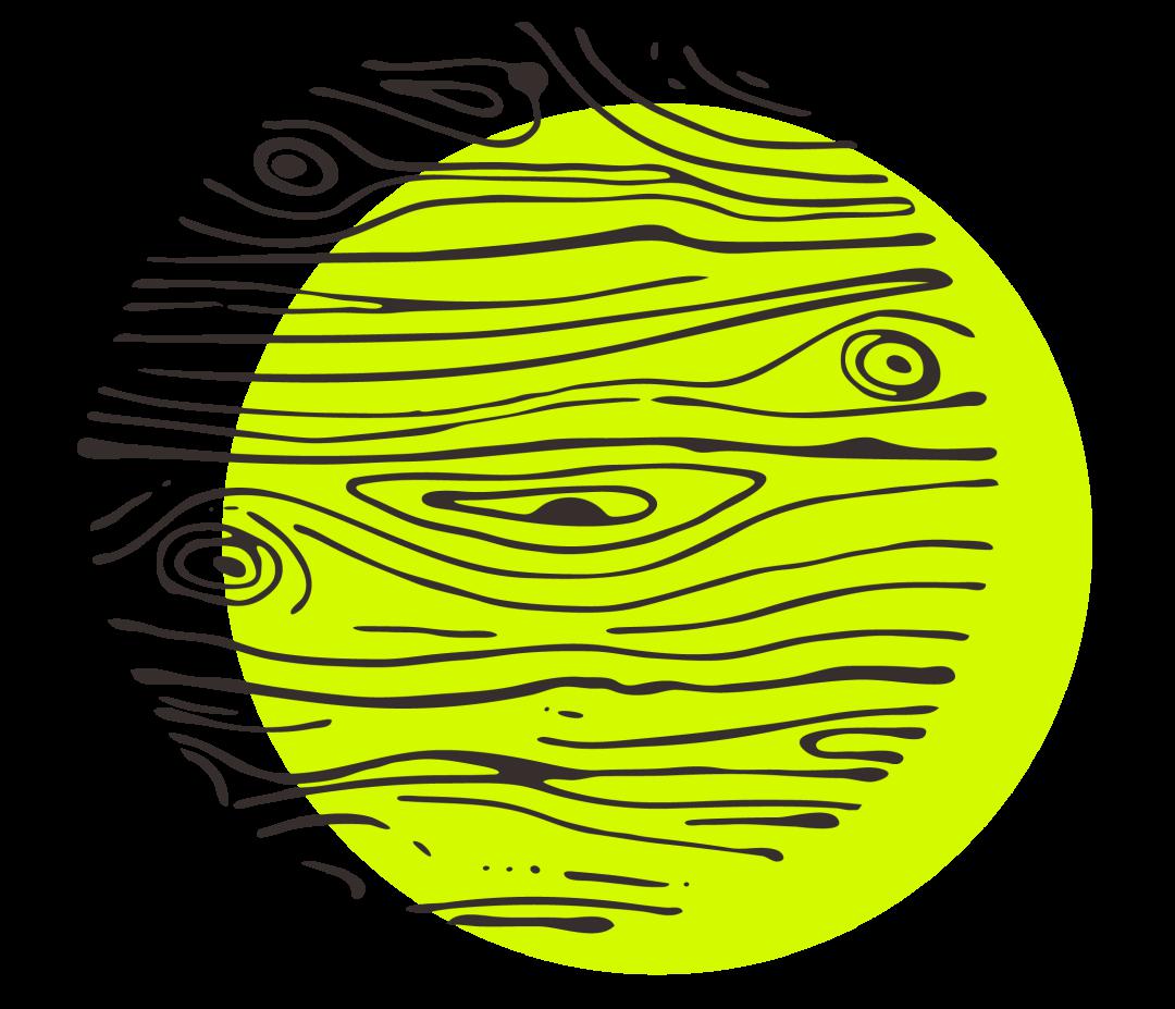 摸木头,闻木头,看木头,其中最重要的是看木头:看颜色,木截面,木髓射线