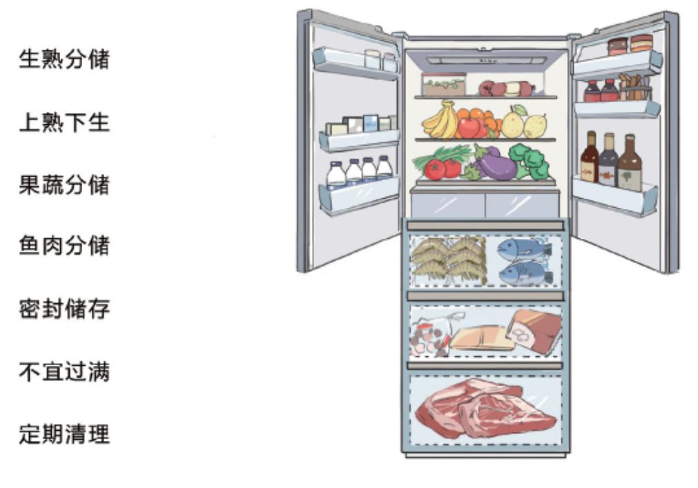 冰箱放东西怎么分类图图片