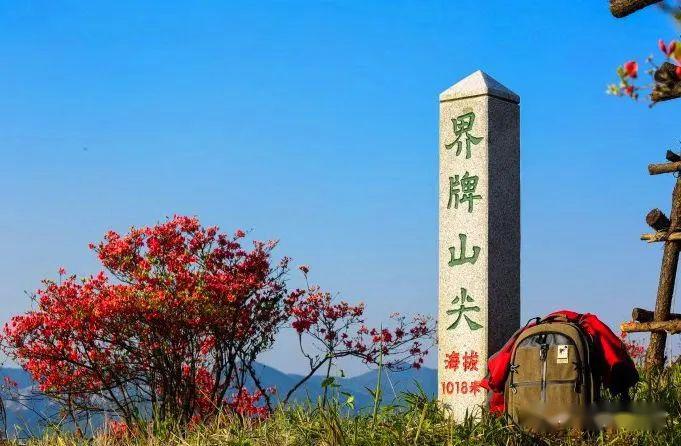 休闲徒步419春光易逝徒步石笕古道花海线赏驴道最美的春天