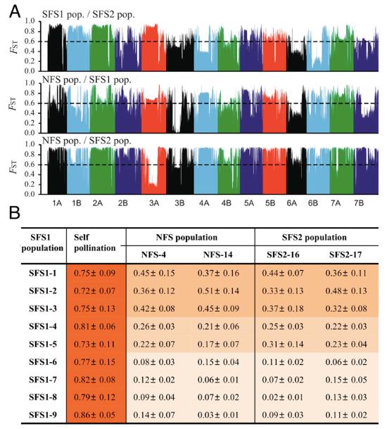 sympatric speciation of wild emmer wheat driven by ecology