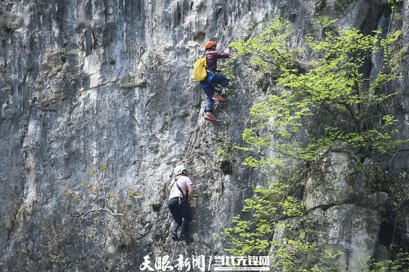 4月11日,体育爱好者在安龙县笃山镇国家山地户外运动示范公园体验栈道