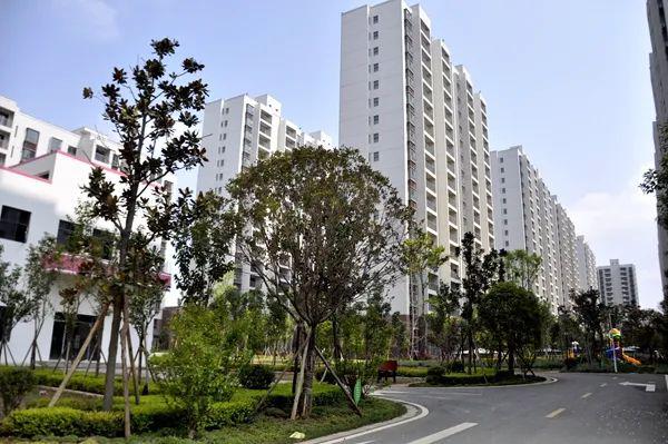 桃源小区安置点分房到户工作启动 当天90户群众喜领新房