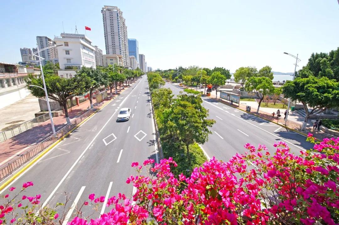 近来,作为汕头城市名片的海滨路陆续完成了一系列的景观改造升级工程