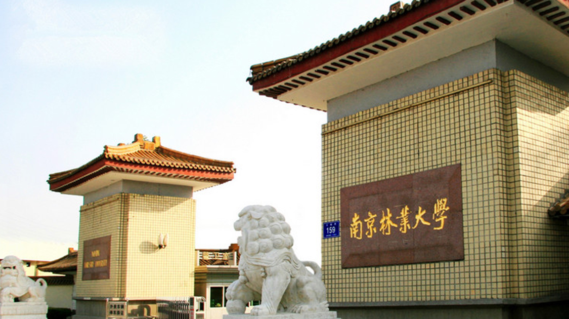03,南京林业大学学校致力于培养国家航运业所需要的各级各类专门人才